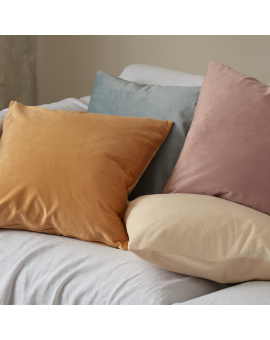 Home Decor  Decorative Pillow Covers with Zipper Closure, Throw Pillow Cover, Velvet Pillowcases